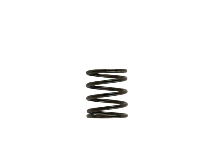 Turbosmart IWG WG38/40/45/50L External Wastegate Springs