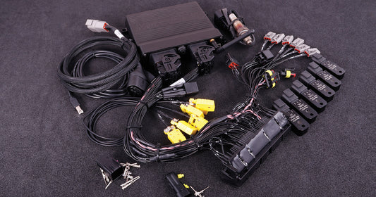 MaxxECU Plugin ECU - BMW M54 (MS42 / MS43)